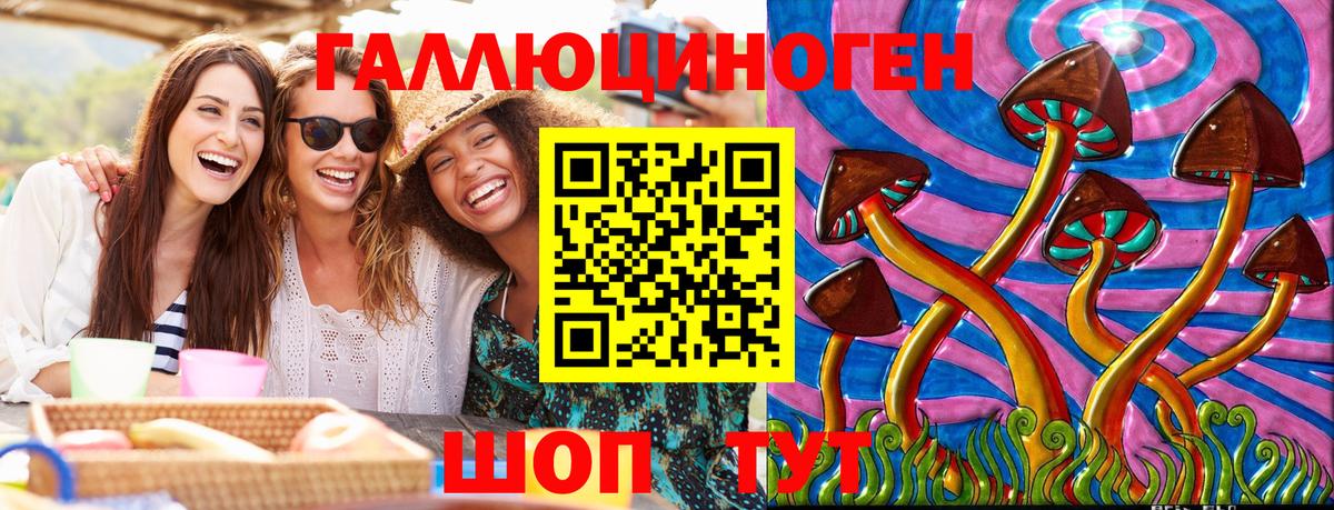 Псилоцибиновые грибы Psilocybe Владивосток