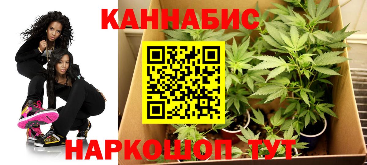 МАРИХУАНА планчик Владивосток